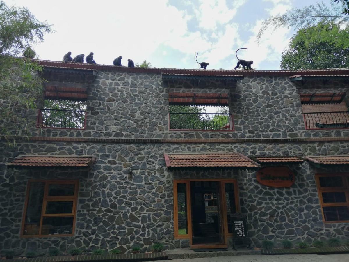 Bed and Breakfast Wildernest Thekkady Zewnętrze zdjęcie